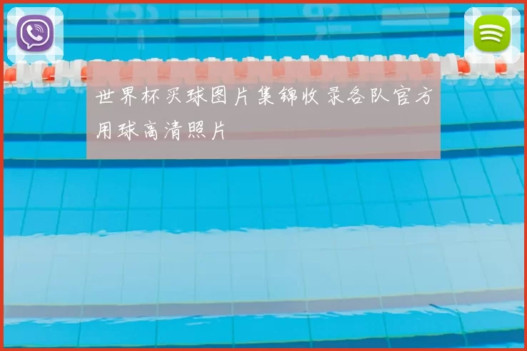 世界杯买球图片集锦收录各队官方用球高清照片