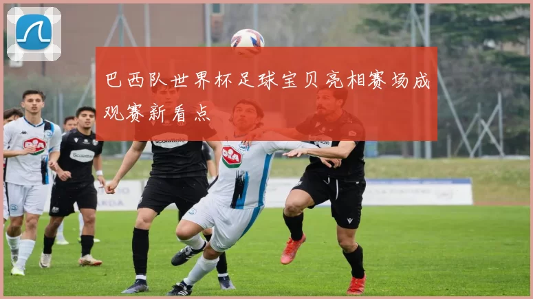 巴西队世界杯足球宝贝亮相赛场成观赛新看点