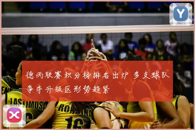 德丙联赛积分榜排名出炉 多支球队争夺升级区形势趋紧
