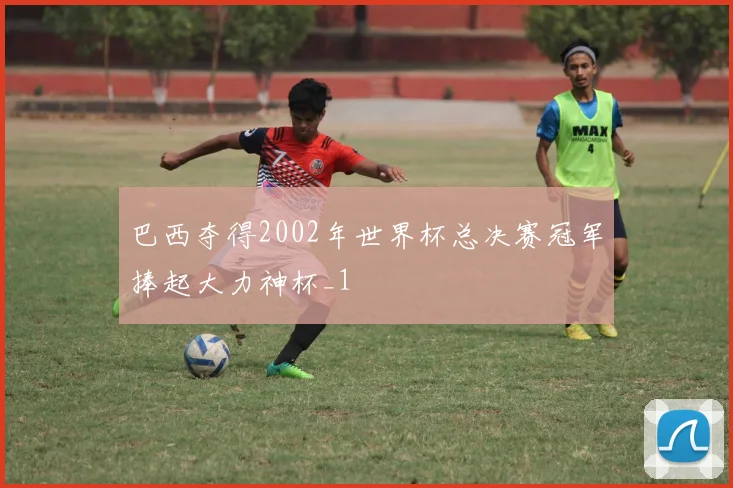 巴西夺得2002年世界杯总决赛冠军捧起大力神杯_1